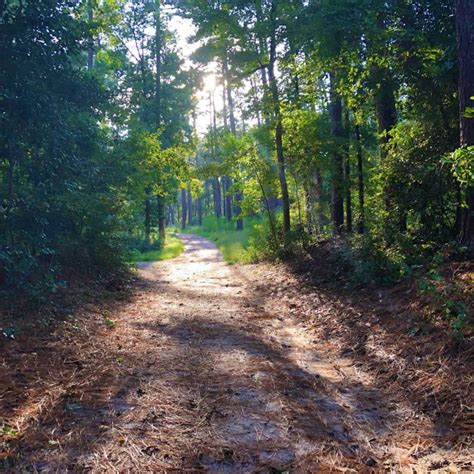 Hitchcock Woods & Gateway Park - Visit Aiken SC