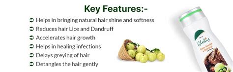 Buy Globus Remedies Amla Reetha Shikakai Hair Shampoo, 200 ml (Pack of ...