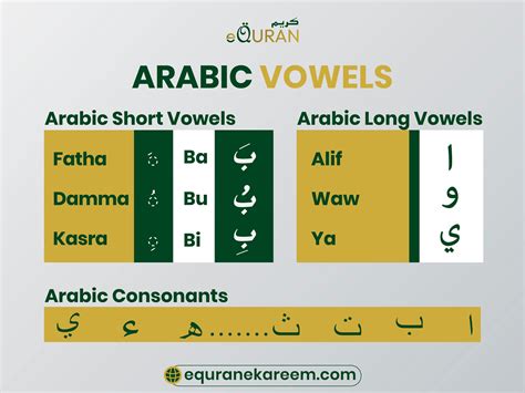 Short Vowels And Long Vowels In Arabic