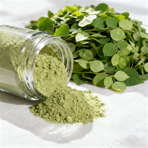 How to Choose the Best Moringa Products Package: A Complete Buyer's Guide