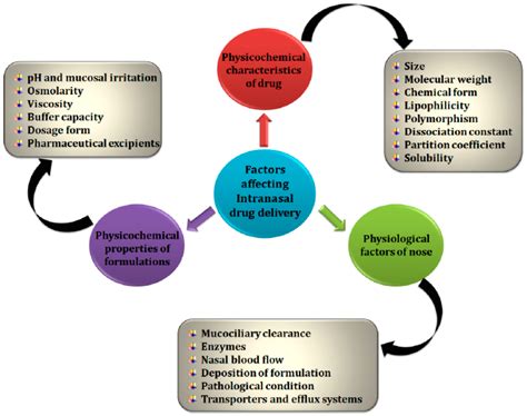 Intranasal Drug Administration in Alzheimer-Type Dementia: Towards ...