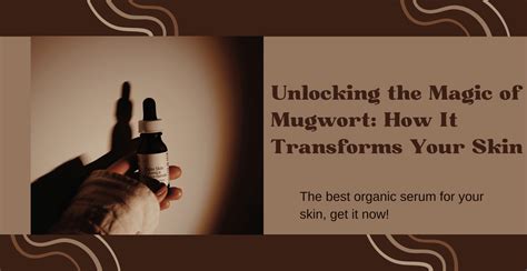 Unlocking the Magic of Mugwort: How It Transforms Your Skin | Clinikally