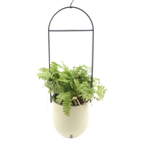Sphere Selfwatering Hanging Flower Pot/Indoor Outdoor Plant Pot | Hang ...
