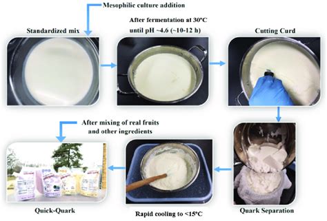 Image result for Quark Tutorial