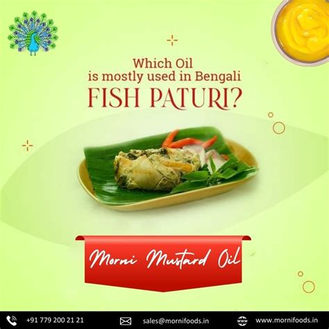 Morni Foods India Premium Products Useful Information | Best Cold ...