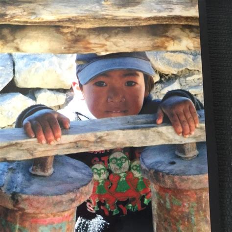 Image result for D Programme