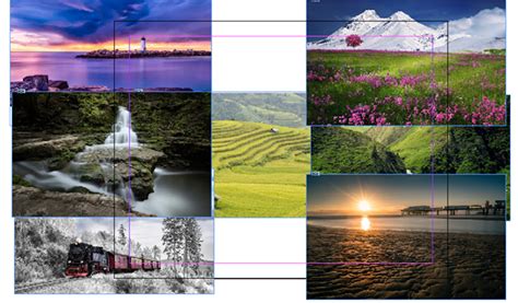 Image result for Interactive Fields InDesign