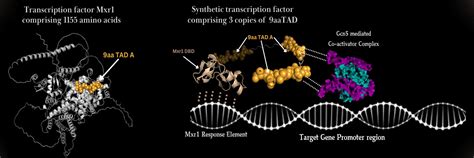 Indian Institute of Science