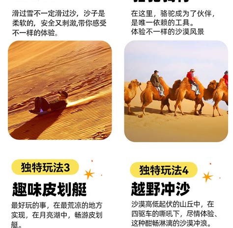 Desert fantasy trip five days four nights - Klook India