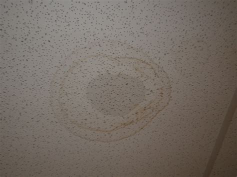 Brown Spots On Ceiling - Infoupdate.org