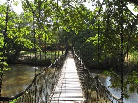 Savage Sagana Camp - Campground Reviews & Photos - TripAdvisor