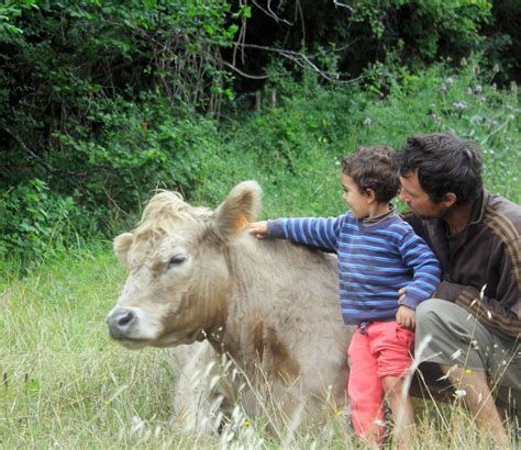 Being with Cows - an evening with Dave Mountjoy, Waterstones Worcester ...