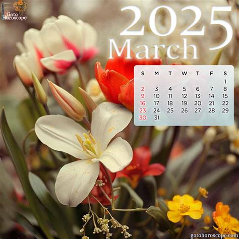 March 2025 Horoscope, Monthly Horoscopes for the March 2025 year of the ...