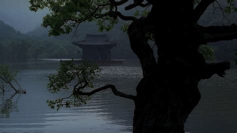 Image result for Spring Summer Fall Winter and Spring 2003