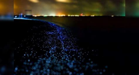 This Mexican beach lit up blue for the first time in 60 years, know why ...
