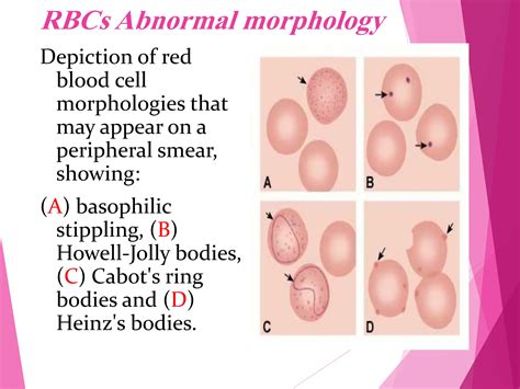 RBC Morphology.pdf
