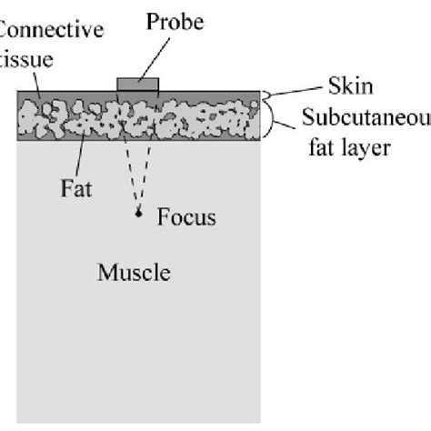 Image result for Skin Tissue Texture Mapping