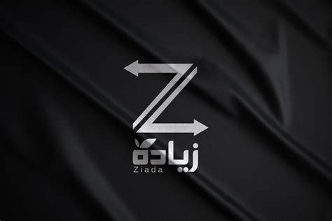 Export Logo 的图像结果