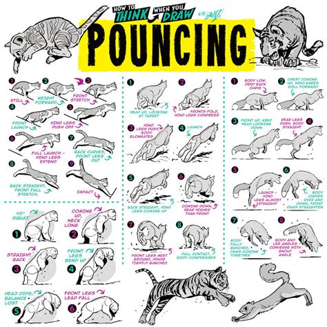 Image result for Pouncing Lesson