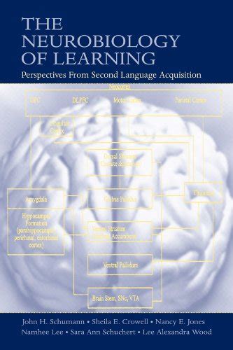 The Neurobiology of Learning: Perspectives From Second Language ...