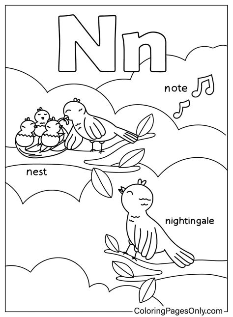 Letter N For Kids Drawing