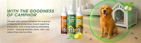 Lozalo Kennel Wash Liquid 500ml for Washing Dog Kennel & Flooring, Pet ...
