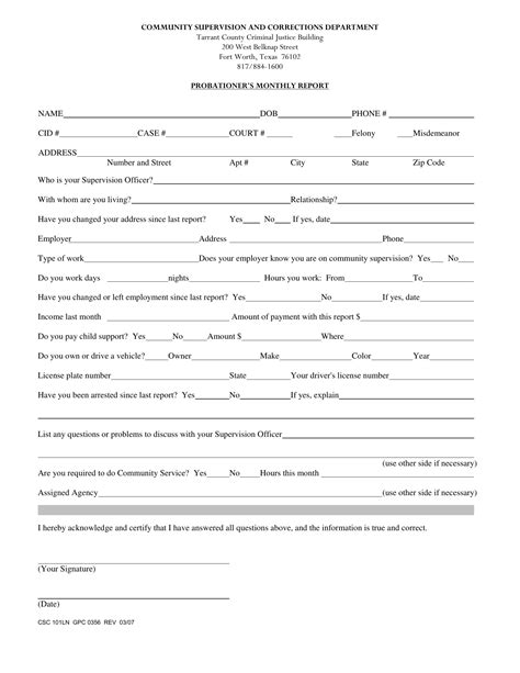 Probation Report Form