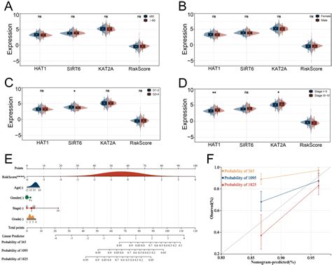 The Prognostic and Therapeutic Role of Histone Acetylation Modification ...