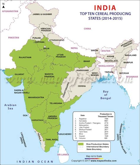 divide the map of India as per major cereal cultivation State wise like ...