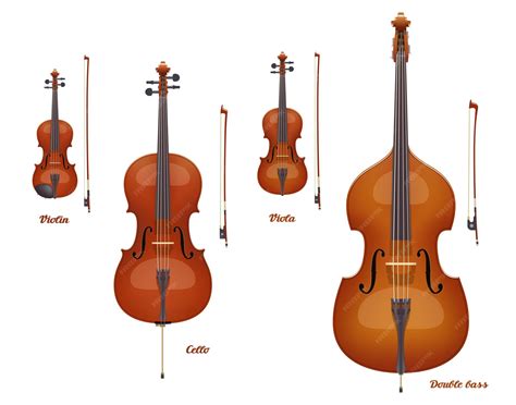 Premium Vector | Violin family musical instruments violin viola cello ...