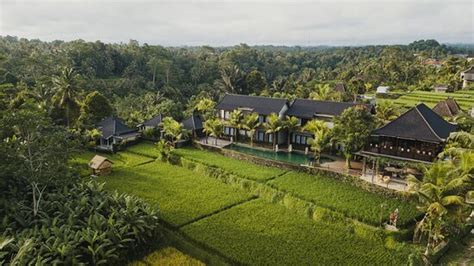 PINGGALA VILLA UBUD (Sebatu) - Resort Reviews, Photos, Rate Comparison ...