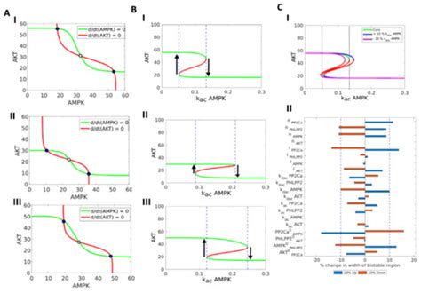 Multi-Stability and Consequent Phenotypic Plasticity in AMPK-Akt Double ...