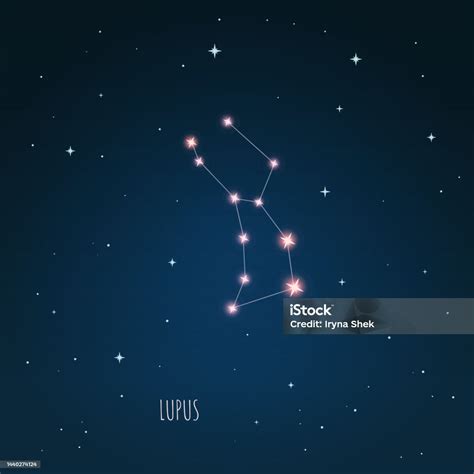 Schéma De La Constellation Du Lupus Dans Le Ciel Étoilé Vecteurs libres ...
