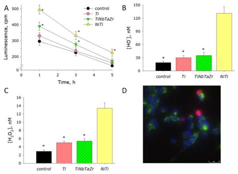 Manufacturing and Study of Mechanical Properties, Structure and ...