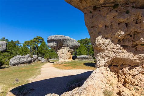 Image result for Capricious