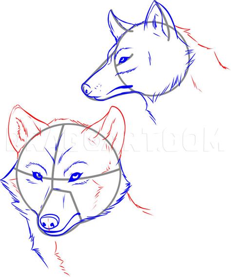 Image result for wolves drawing tutorial