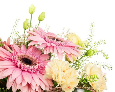 関連する画像の詳細をご覧ください。Fragmento Del Ramo Del Gerbera Y De Los Claveles Aislados En Pizca ...