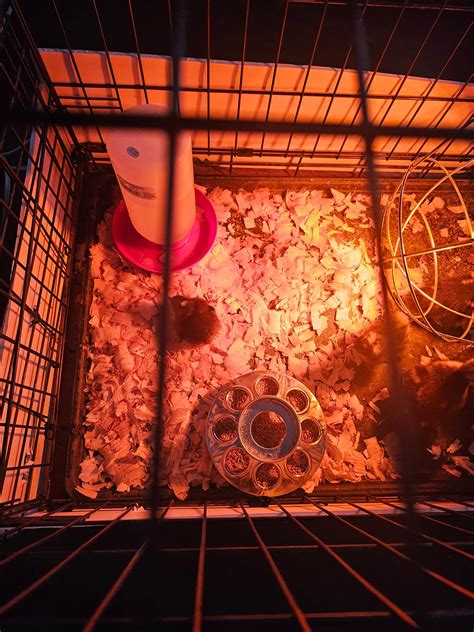 Auberry Funeral Home & Cremation Services | Campbellsville KY