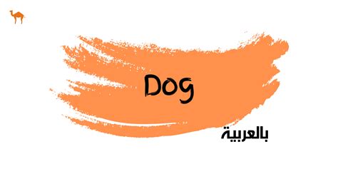 How to Say "God Bless" in Arabic | eArabic