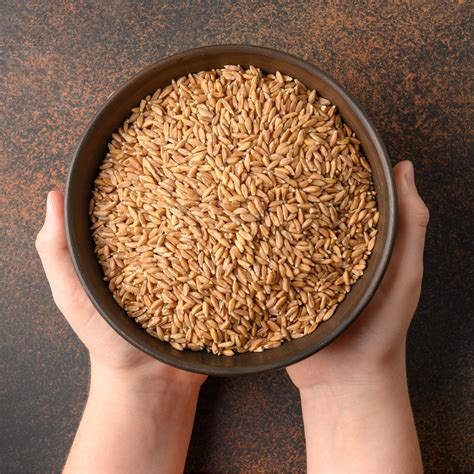 Buy Organic Wheat Atta Or Jave Godhi Or Farro Long Wheat Atta | Nutty Yogi