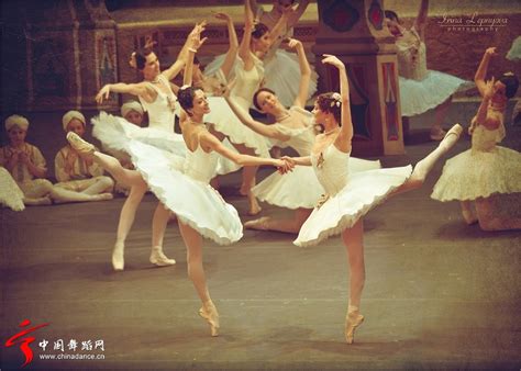 金星，1967年8月13日出生在辽宁沈阳。中国最杰出的现代舞舞蹈家之一，中国现代舞的拓荒者更是目前在世界上成就最高的中国舞蹈家之一，获得国际荣誉无数。