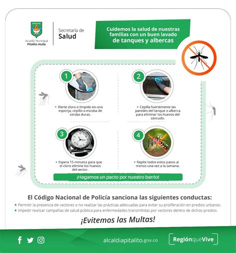 Laboyanos a tomarse en serio los riesgos del Dengue - TSM Noticias