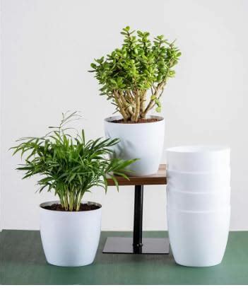 SS TRADING COMPANY Plant Container Cool Pot 5.5 INCH Round UV Protected ...