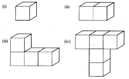 ap scert 8th class Maths Lesson 13 Visualizing 3 D in 2 D
