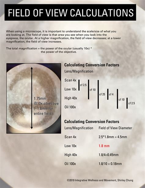 Image result for Field of View Explained