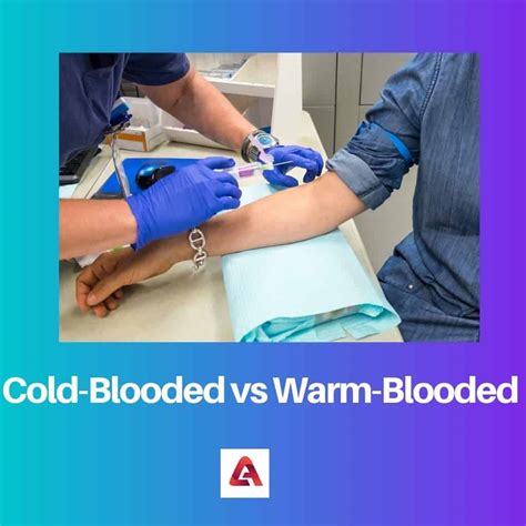 Cold-Blooded vs Warm-Blooded: Difference and Comparison