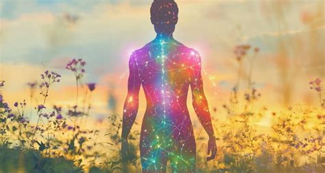 Image result for Body 2ID Code