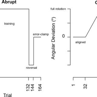 Image result for Counterclockwise Brain