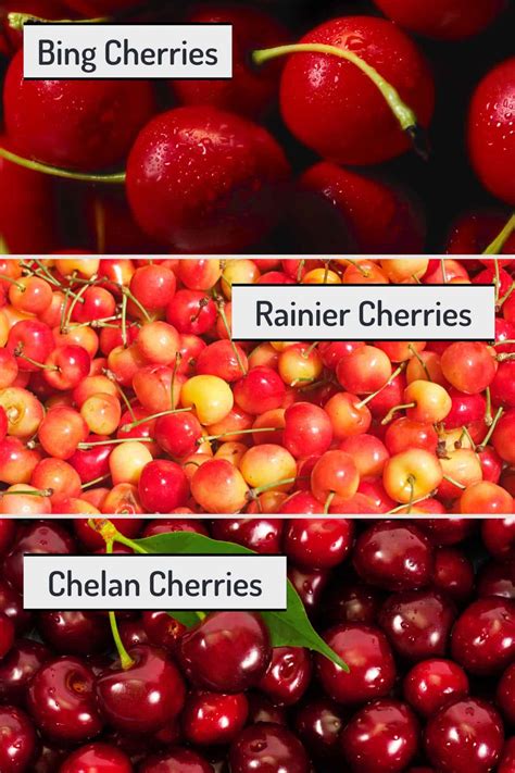 Names Of Sweet Cherries