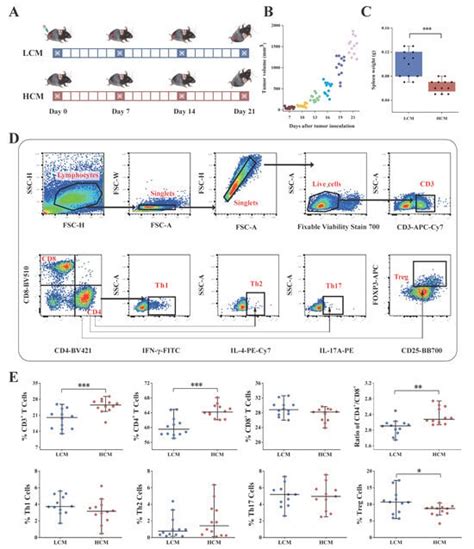 Dynamic Changes of the Gut Microbiota and Its Functional Metagenomic ...